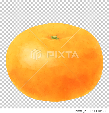 Illustration of mandarin orange 131440425