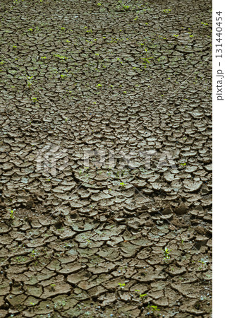 cracked soil after harvest 131440454