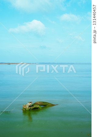 island rock on the sea 131440457