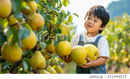 梨狩り 131440525