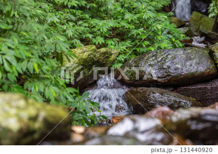 台湾 岩 石 131440920