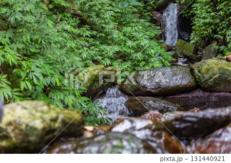 台湾 岩 石 131440921