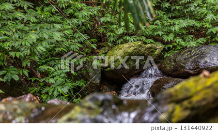 台湾 岩 石 131440922