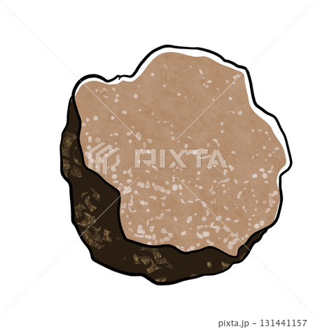 トリュフのイラスト 131441157