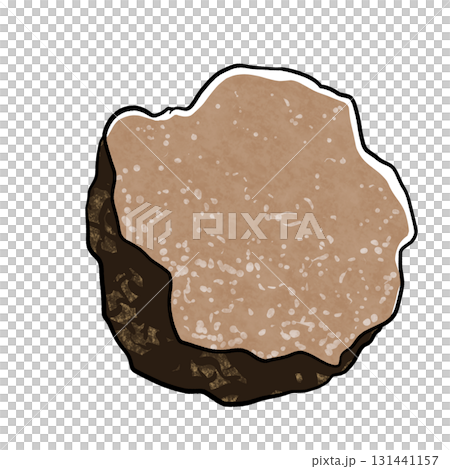 トリュフのイラスト 131441157