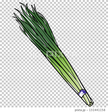 シンプルなニラのイラスト シンプルなニラのイラスト 131441158