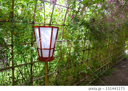 萩のトンネル 131441173