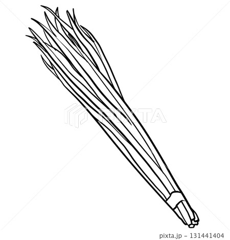 シンプルなニラの線画 シンプルなニラの線画 131441404