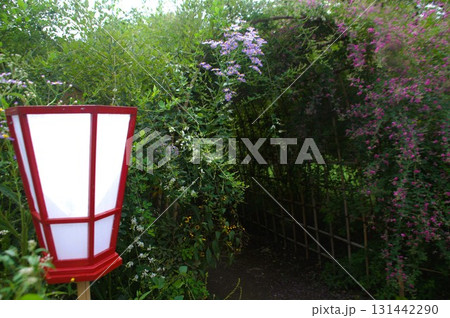 萩のトンネル 131442290