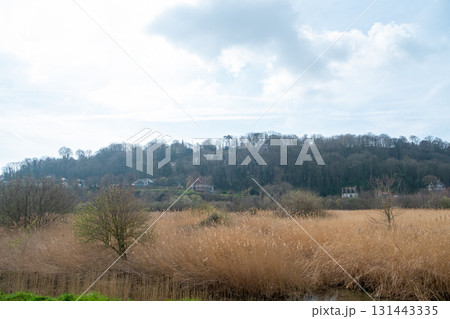 A Serene Landscape Featuring Marshlands and Rolling Hills Beneath a Cloudy Sky Above A Serene Landscape Featuring Marshlands and Rolling Hills Beneath a Cloudy Sky Above 131443335