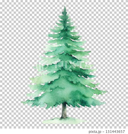 Watercolor illustration of a tall evergreen pine tree, detailed green layered branches with varying shades Watercolor illustration of a tall evergreen pine tree, detailed green layered branches with varying shades 131443657