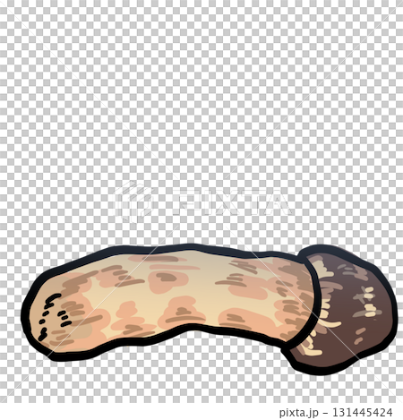 Illustration of wilted matsutake mushroom 131445424