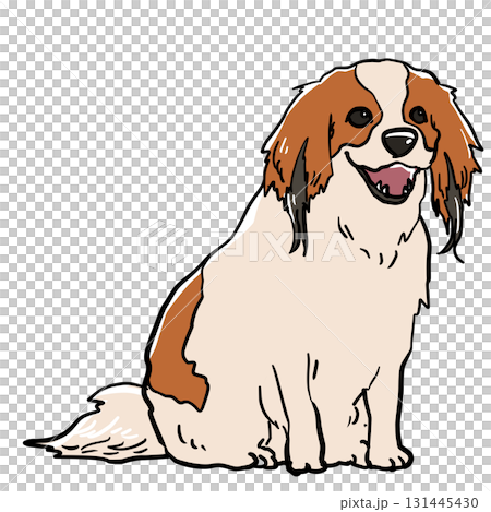 お座りするコーイケルホンディエ犬 131445430