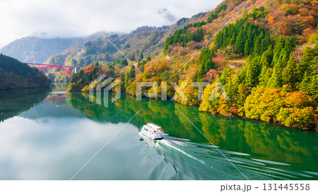 庄川峡（秋） 131445558