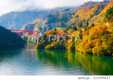 庄川峡（秋） 131445617