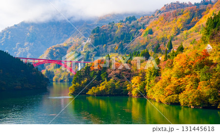 庄川峡（秋） 131445618