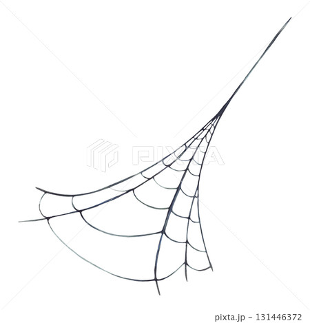 Spider web diagonally from corner to corner. Natural cobweb Hand painted in watercolor. Illustration in gray and black isolated from background. Perfect for Halloween card and biological themes. 131446372