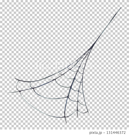 Spider web diagonally from corner to corner. Natural cobweb Hand painted in watercolor. Illustration in gray and black isolated from background. Perfect for Halloween card and biological themes. 131446372