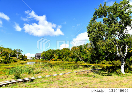 志賀高原 蓮池周辺(長野県山ノ内町)【2025.9】 志賀高原 蓮池周辺(長野県山ノ内町)【2025.9】 131446693