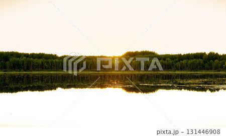 Beautiful scene at the lake in the woods, golden sunset light. 131446908