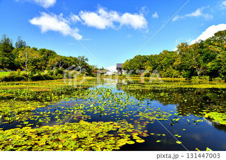 志賀高原 蓮池周辺(長野県山ノ内町)【2025.9】 志賀高原 蓮池周辺(長野県山ノ内町)【2025.9】 131447003