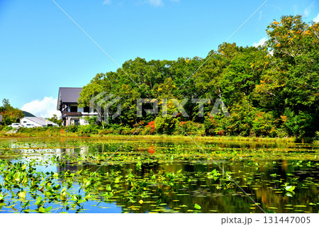 志賀高原 蓮池周辺(長野県山ノ内町)【2025.9】 131447005