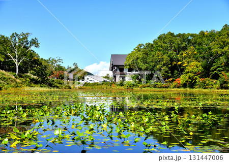 志賀高原 蓮池周辺(長野県山ノ内町)【2025.9】 志賀高原 蓮池周辺(長野県山ノ内町)【2025.9】 131447006
