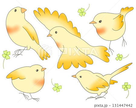 小鳥のセット 小鳥のセット 131447442