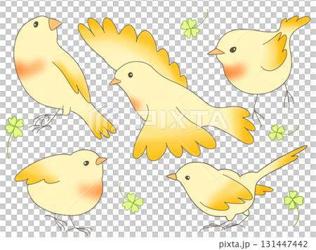 Set of small birds Set of small birds 131447442