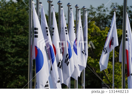 Row of South Korean National Flags on Flagpoles 131448213