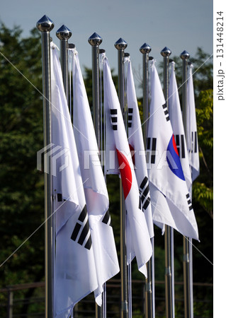 Row of South Korean National Flags on Flagpoles 131448214