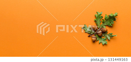 Branch with green oak tree leaves and acorns on colored background, close up top view 131449163