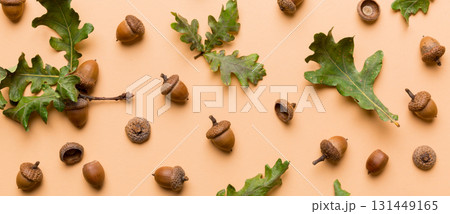 Branch with green oak tree leaves and acorns on colored background, close up top view 131449165