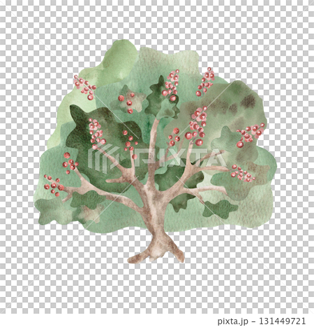 A large bush with red berries in a fairytale style. Isolated watercolor illustration for children's educational materials, postcards, fabric, books, and nursery design. A large bush with red berries in a fairytale style. Isolated watercolor illustration for children's educational materials, postcards, fabric, books, and nursery design. 131449721