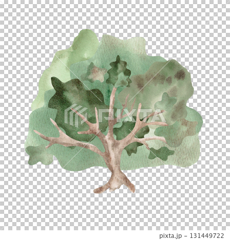 A large bush in a fairytale style. Isolated watercolor illustration for children's educational materials, postcards, fabric, books, and nursery design. 131449722