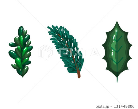 Christmas Green Leaves and Plant Elements Set on White Background 131449806