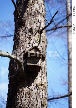 森の巣箱 131449828