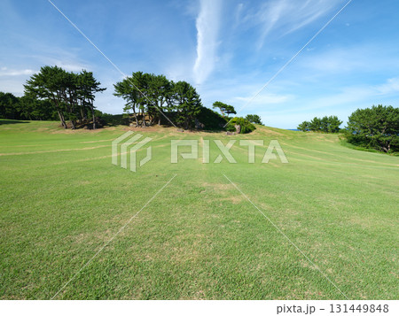 種差海岸 - 夏の晴れた日 131449848