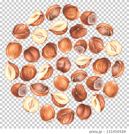 Round backdrop of peeled, whole, halved and crushed hazelnuts. Hand drawn watercolor illustration of organic food on isolated background. Edible raw seed. Forest filbert nuts for packaging design. Round backdrop of peeled, whole, halved and crushed hazelnuts. Hand drawn watercolor illustration of organic food on isolated background. Edible raw seed. Forest filbert nuts for packaging design. 131450589