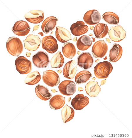 Heart with peeled, whole and crushed hazelnuts. Hand drawn watercolor illustration of filbert nuts on an isolated background. Perfect for label, logo, packaging design. Healthy organic food. 131450590