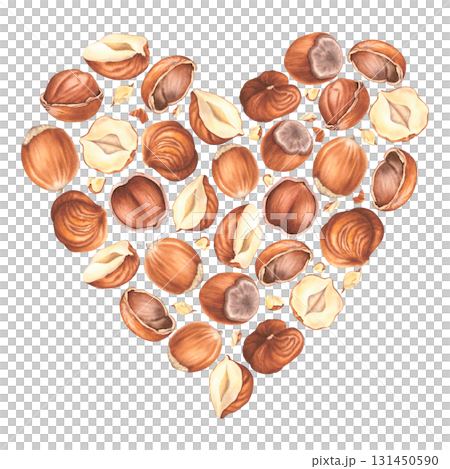 Heart with peeled, whole and crushed hazelnuts. Hand drawn watercolor illustration of filbert nuts on an isolated background. Perfect for label, logo, packaging design. Healthy organic food. 131450590