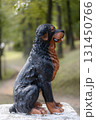 Historic Marfino estate, cultural heritage site, monument to Rottweiler Sultan, the beloved dog of the former owner of the estate, Countess Panina 131450766