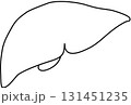 人体の肝臓 131451235