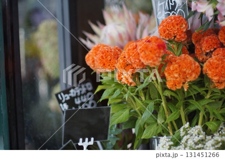 店先のケイトウの花束 131451266