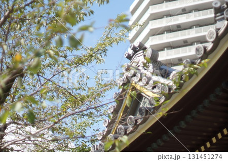 善光寺鐘撞堂の屋根と葉 善光寺鐘撞堂の屋根と葉 131451274