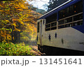 「奥出雲おろち号」26年間ありがとう・木次線 131451641