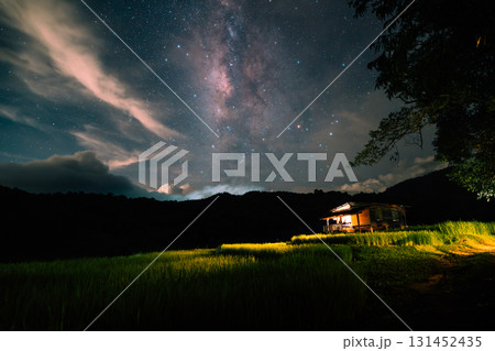 A hut in the middle of a rice field and the belly of a milky way, stars and a night sky with clouds A hut in the middle of a rice field and the belly of a milky way, stars and a night sky with clouds 131452435