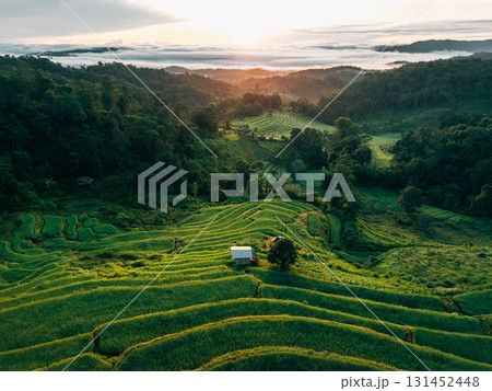 Drone aerial view of rice terrace field In Chiang Mai,Sustainable agriculture and nature Drone aerial view of rice terrace field In Chiang Mai,Sustainable agriculture and nature 131452448