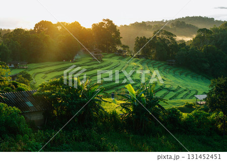 Drone aerial view of rice terrace field In Chiang Mai,Sustainable agriculture and nature 131452451