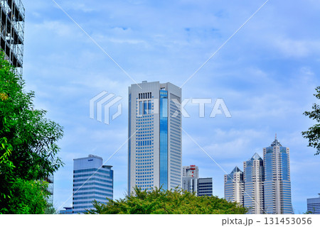 西新宿  新宿パークタワービル 131453056